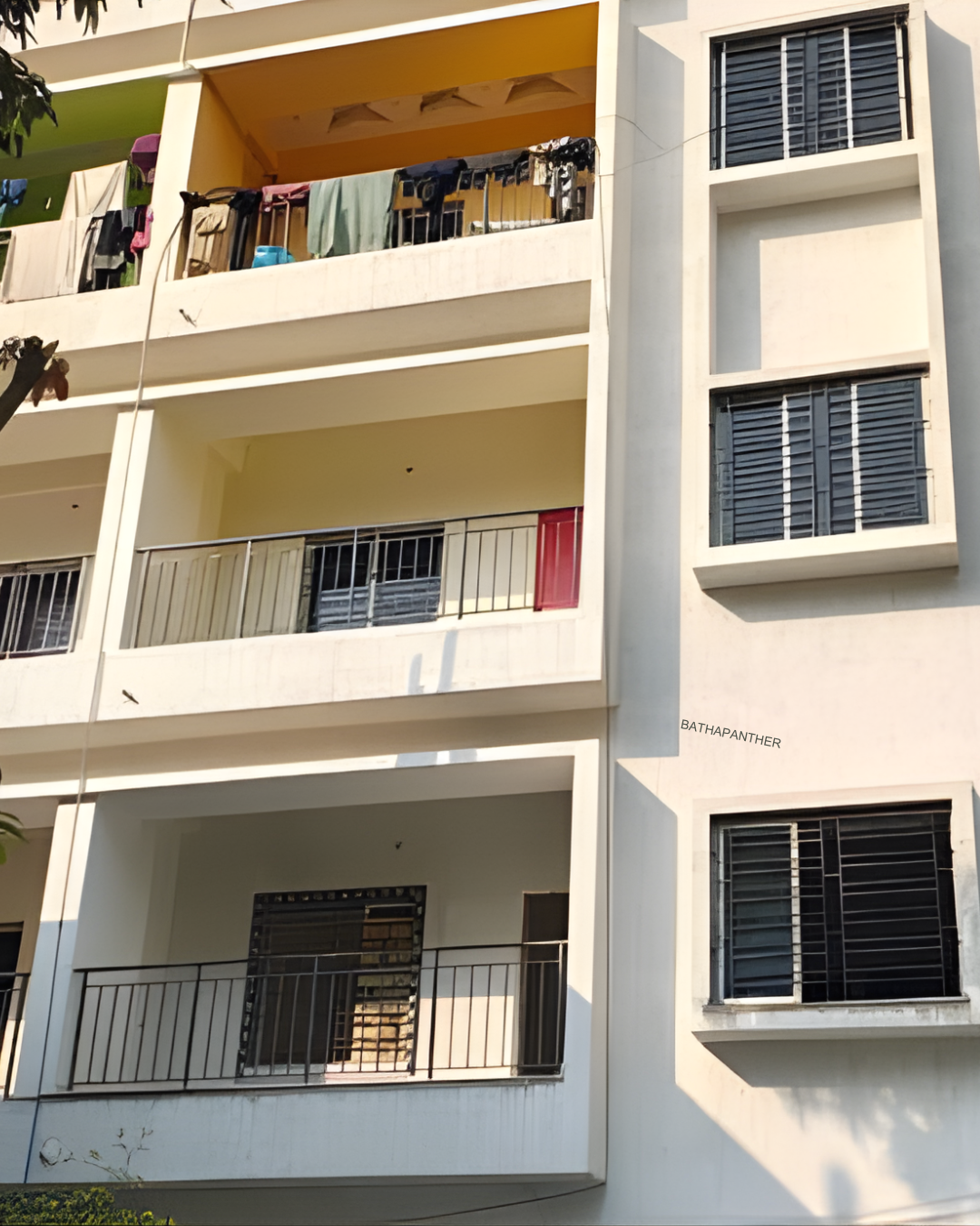 beat the heat how to keep your dog's summer safe in 2025 (47)