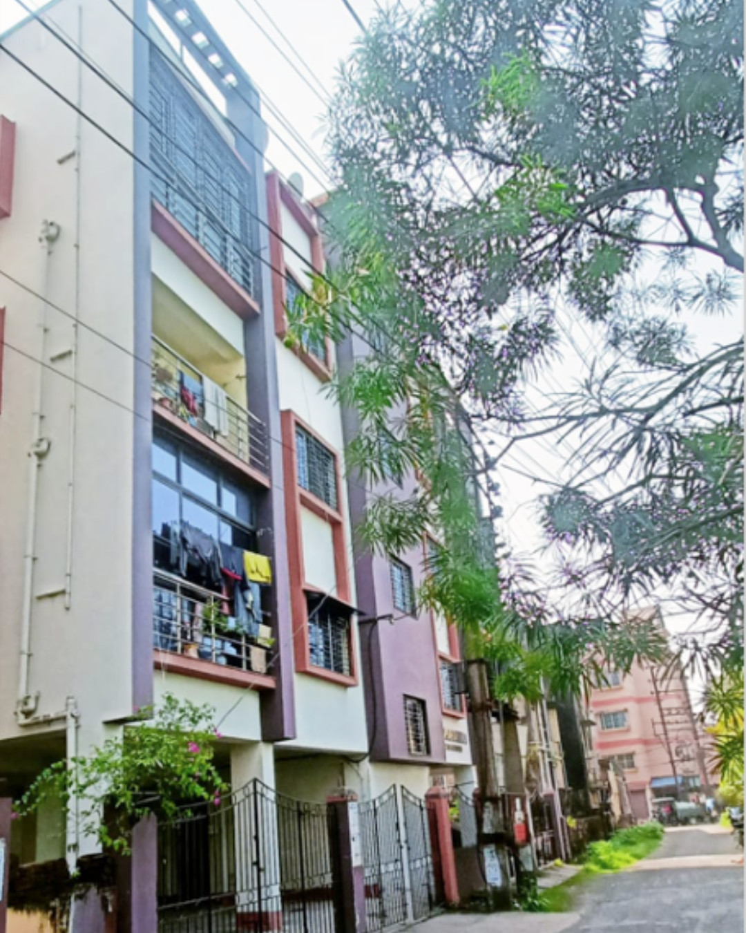 beat the heat how to keep your dog's summer safe in 2025 (50)